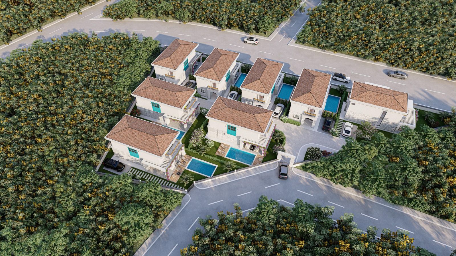 WhatsApp Image 2024-03-05 at 11.35.53