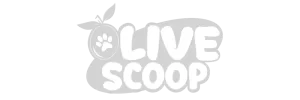 olive-scoop (1)